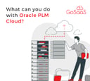 blog-thumbnail-what-you-can-do-with-plm